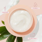 The Daily Face Cream - Daily Set