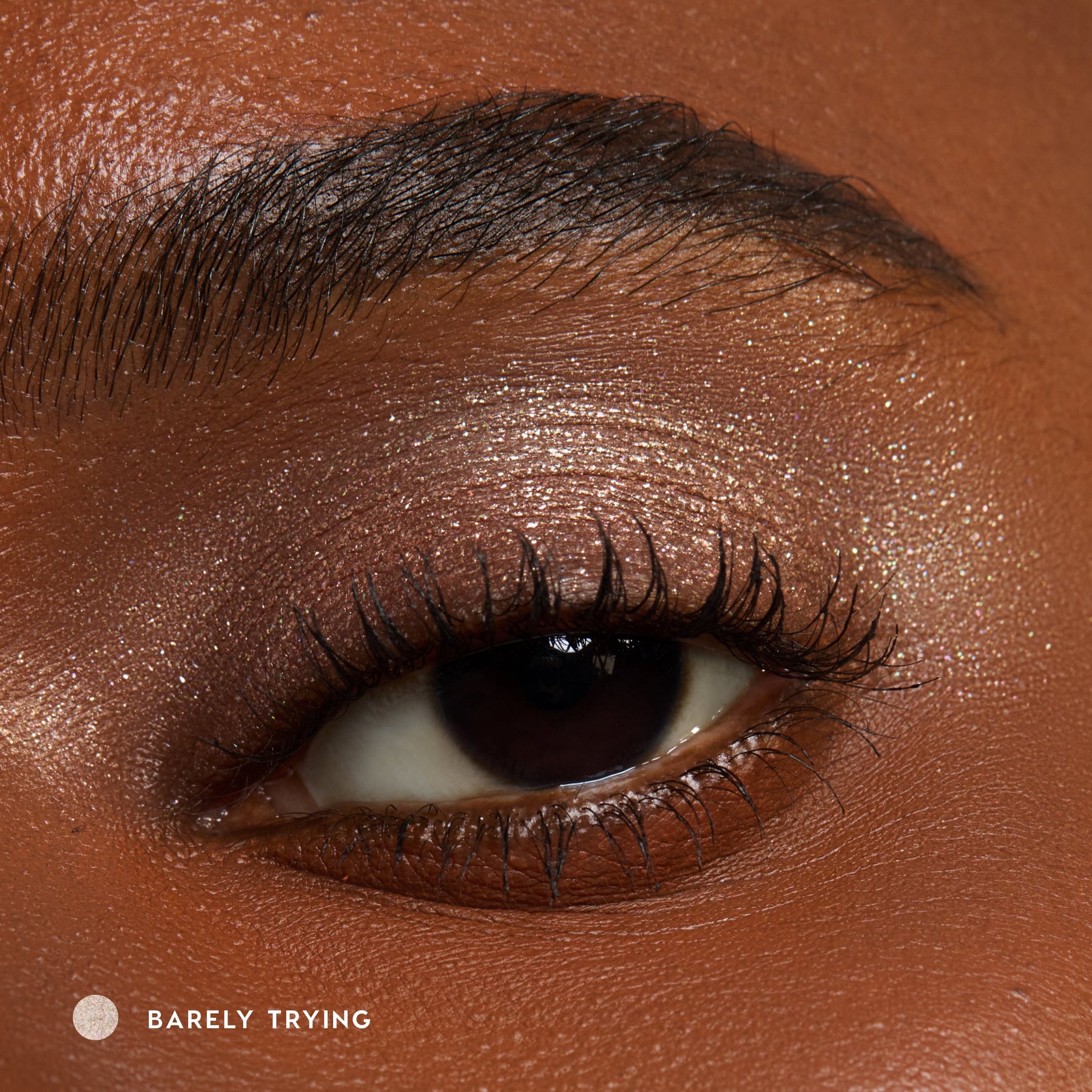Barely Trying - Fresh Tint